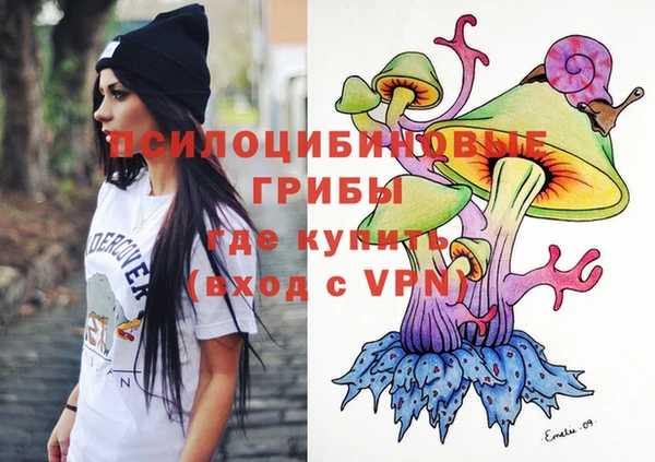 ПСИЛОЦИБИНОВЫЕ ГРИБЫ Нея