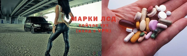 ПСИЛОЦИБИНОВЫЕ ГРИБЫ Нея