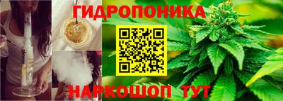 тгк Можга