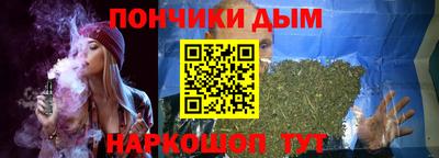 индика Можайск