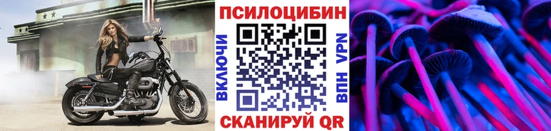KRAKEN сайт  Южноуральск  Галлюциногенные грибы прущие грибы 