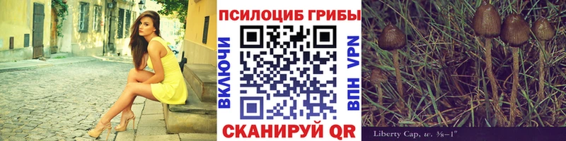 Галлюциногенные грибы мицелий Южноуральск