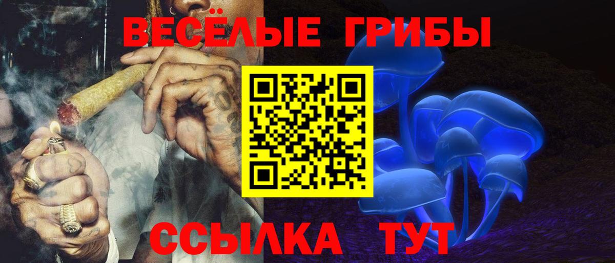 купить наркотик  Вход с VPN  Южноуральск  Галлюциногенные грибы Magic Shrooms 